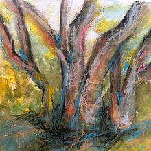Colours Between the Trees . Schițe, Ilustrație botanică, Ilustrație pentru copii, Ilustrație cu cerneală, Ilustrație naturalistă, Desen artistic, Design de caractere, Desen în creion colorat, Creativitate, Desen, Arte plastice, Pictură cu guașă, Desen în creion, Ilustrație tradițională și Pictură în acuarelă de Kate Turton - 05.27.2026