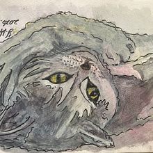 An story of my four blue buggies 🦜to whom wild cat visits 🏡. Een project van Beeldende kunst, Schilderij, Tekening, Aquarelschilderen, Architecturale illustratie y Naturalistische illustratie van Ms. Yoko Wakabayashi - 03.06.2026