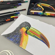 Tucano colorido. Projekt z dziedziny Sketching, Rysunek ołówkiem,  Rysunek i Sketchbook użytkownika Brenda H. Castro - 17.06.2026