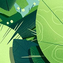 My Project for Course Animated Illustrations Inspired by Nature. Animation, 2D Animation, Drawing, Digital Illustration, and Animated Illustration project by Alona Sosiedko - 07.15.2026