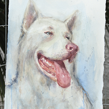 Apolo- Aquarela Ein Projekt aus dem Bereich Bildende Künste und Zeichnung von Edson Moreira Júnior - 21.07.2026