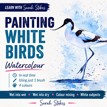 How to Paint a White Bird In Watercolour Without using White Ein Projekt aus dem Bereich Traditionelle Illustration, Malerei und Aquarellmalerei von Sarah Stokes - 10.08.2026