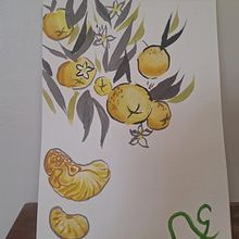 A vida e uma tangerina . Traditional illustration, Fine Arts, Painting, Botanical Illustration & Ink Illustration project by gyniipixie - 09.27.2026