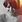 coralie_roman