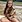 Karen A Caire