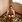 Ariana Rossel Garron