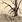 olga_portero