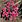 alina_stamate alina_stamate