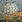 iann_1