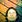 johna_gonzalez_s