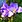 hello_390607