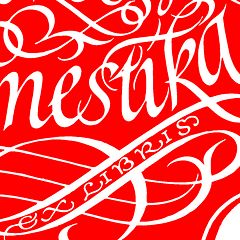 Mein Projekt für den Kalligrafiekurs für ein Exlibris