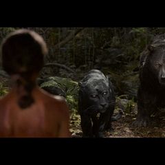 Mowgli reel
