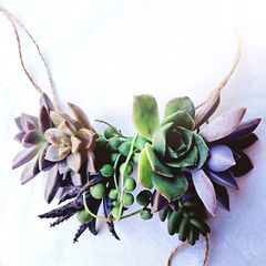Accesorios de Suculentas en VIVO  - Crafty Tuesdays Domestika