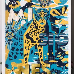 Selva misionera Poster