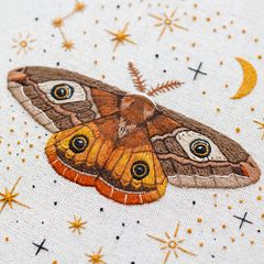 Our magical friend - The Emperor Moth