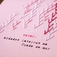 Illustrated dictionary