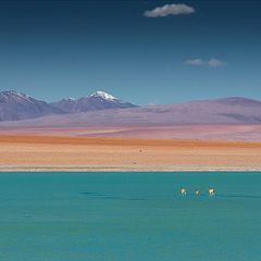 Photo Tours Bolivia