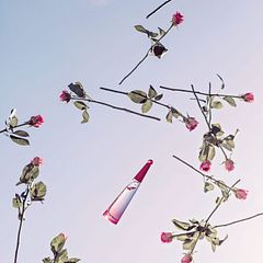 L'Eau d'Issey Rose - Issey Miyake