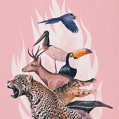 Queimadas no Pantanal • Brasil