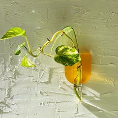 Resin Propagation Station from a 3D Printed Master