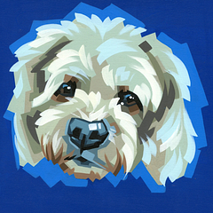 Pet Portrait Commissions 