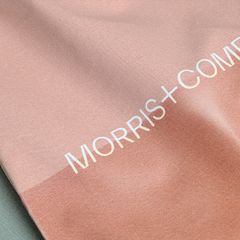 Rebrand for architects Morris + Company