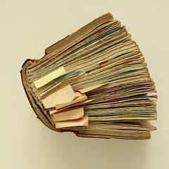 Illustrated logs