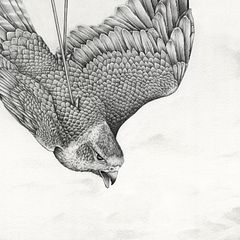 A Eulogy for Animals lost - Drawings for an exhibition about wildlife trafficking