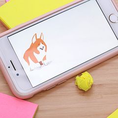 Jumping Corgi