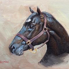 Caballo negro. Óleo sobre lienzo.