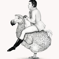 A Dodo Came to London - Research, sketches and final pencil drawing