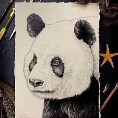 My project for course: Naturalistic Animal Drawing with Graphite Pencil