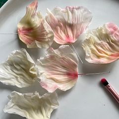PETAL Toning by Dry Brushing ( Christina Wallis ) 
