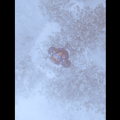 Winter Solstice (3D)