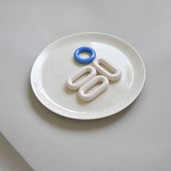 Plates for Democracy 