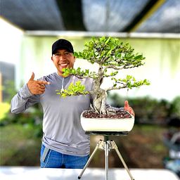Online Course - Mastering the Art of Bonsai: Growing and Shaping Techniques  (Alex Mendoza) | Domestika