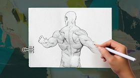 Guided project: Draw male superhero anatomy. Illustration course by Ariel Olivetti