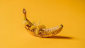 Creative Still-Life Photography Specialization: Master Lighting and Composition. Photography, and Video course by Domestika