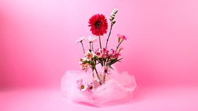 Specializzazione in Design Floreale Creativo. Un corso di Craft di Domestika