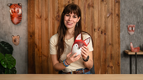 Papel machê: Crie personagens imaginativos com materiais reciclados.. Curso de Craft por Atelier Volante