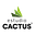 Estudio Cactus