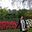 flor_olmos68