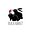 Black Rabbit