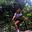 Lina Villamarin