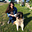 vanee_cnfl