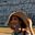 Myriam Soler