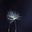 lucia_cpm