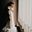 Adry Zambrano