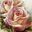 Janete Rodrigues Lopez